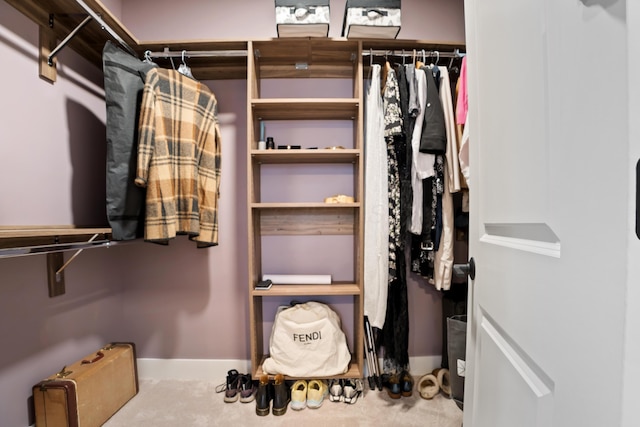 view of spacious closet