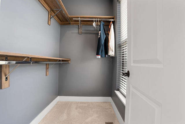 walk in closet featuring carpet floors