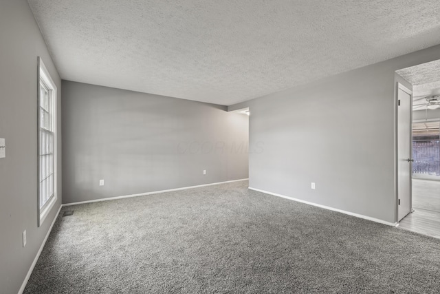 spare room with a textured ceiling, carpet flooring, baseboards, and a healthy amount of sunlight