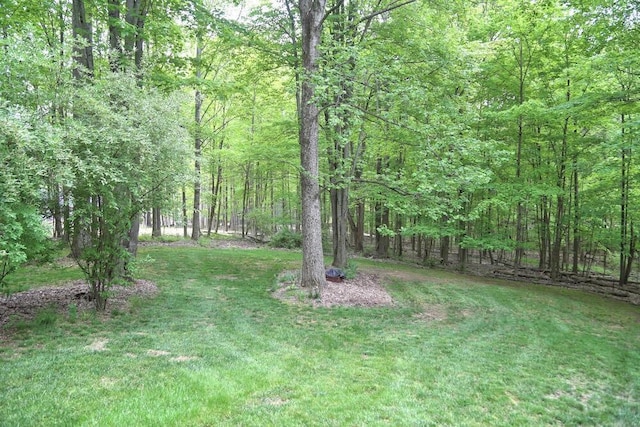 2406 Apple Valley Dr, Howard, OH 43028 - view of grassy yard featuring a wooded view