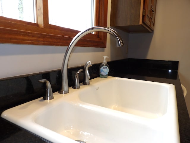 interior details with a sink