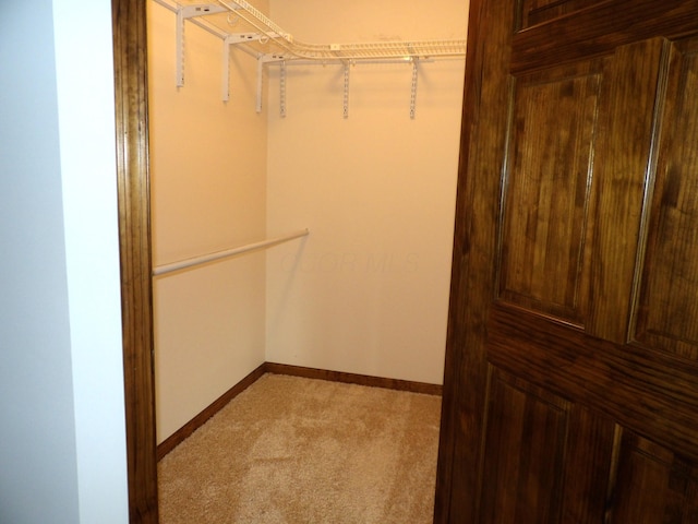 spacious closet with carpet flooring