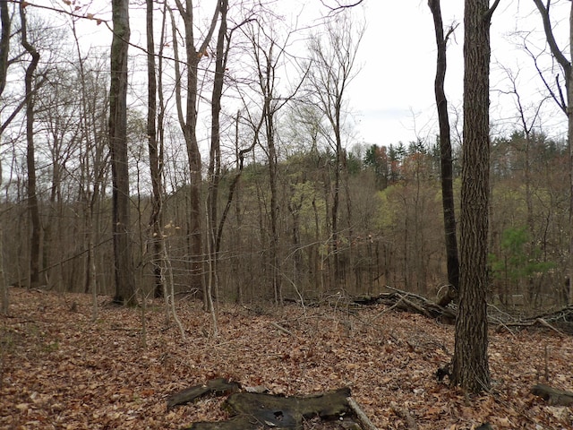 view of local wilderness featuring a forest view