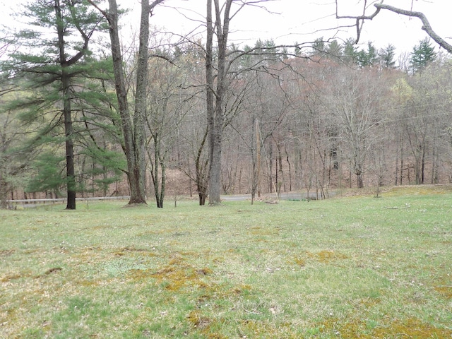 view of yard with a wooded view