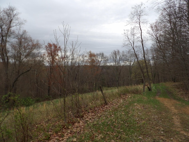 view of local wilderness with a wooded view