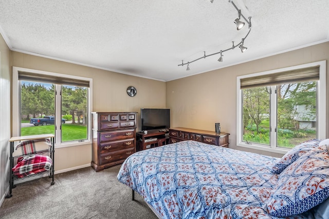 carpeted bedroom featuring crown molding, a textured ceiling, track lighting, and baseboards