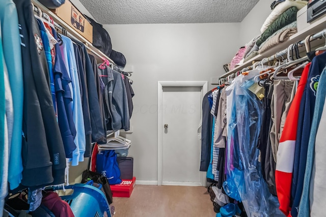 spacious closet with carpet