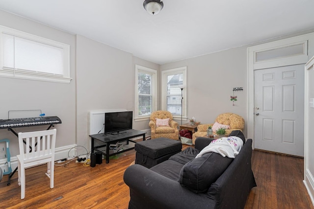 living room featuring hardwood / wood-style floors