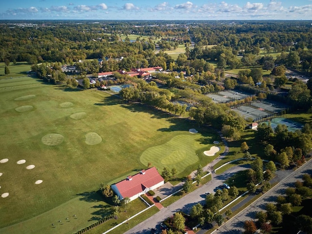 6920 Clivdon Mews, New Albany, OH 43054 - aerial view