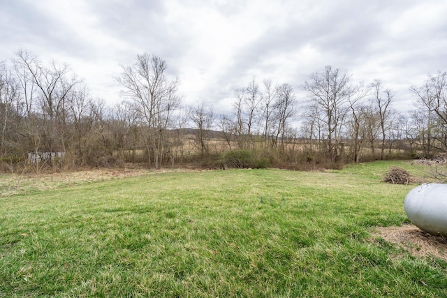 751 Bobo Rd, Beaver, OH 45613 - view of yard