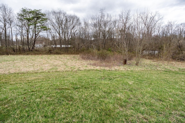 751 Bobo Rd, Beaver, OH 45613 - view of yard