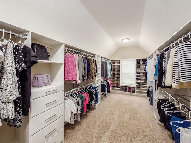 walk in closet featuring vaulted ceiling and carpet flooring