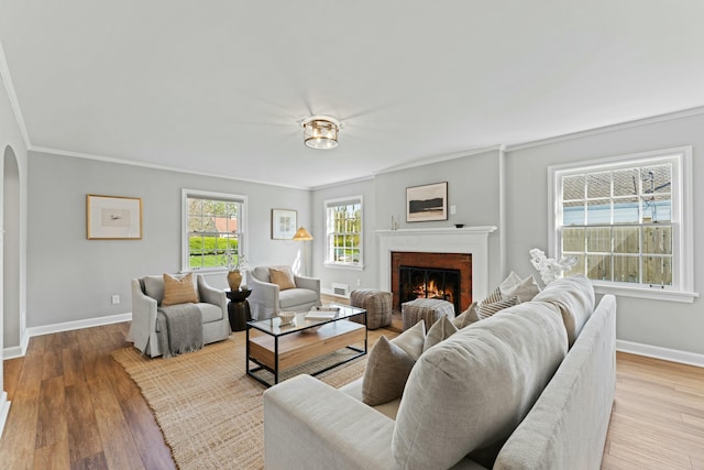 living area with wood finished floors, ornamental molding, arched walkways, baseboards, and a fireplace