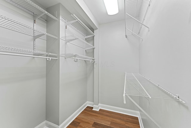 spacious closet featuring wood finished floors