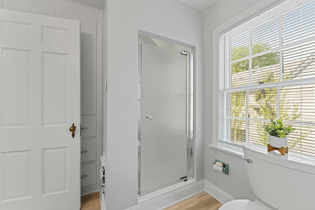 full bathroom with toilet, a shower stall, and a healthy amount of sunlight