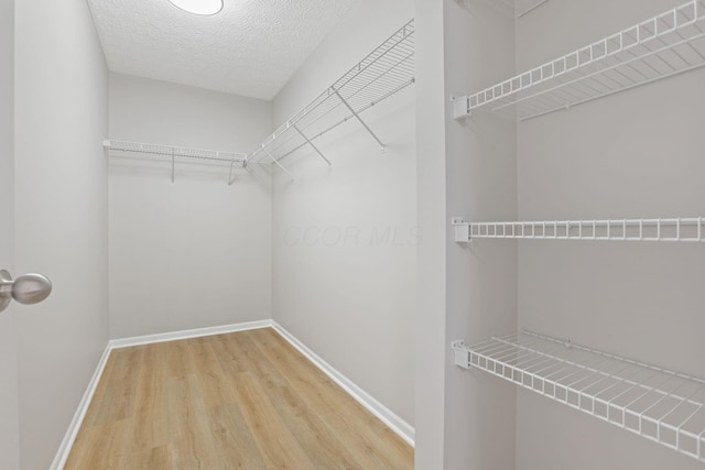 spacious closet with wood finished floors