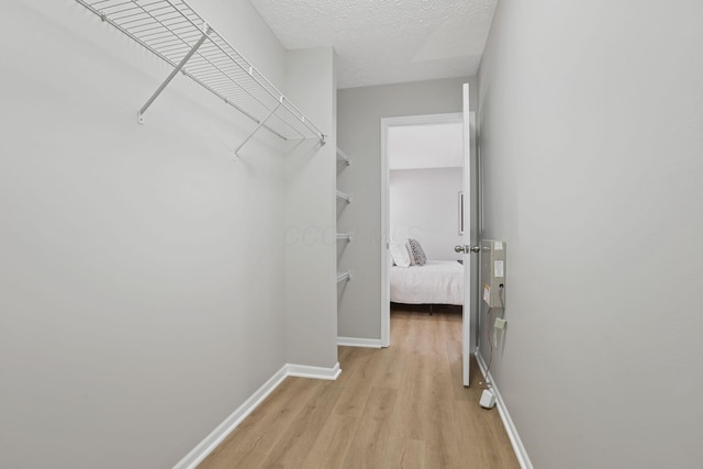 walk in closet featuring light wood-style flooring