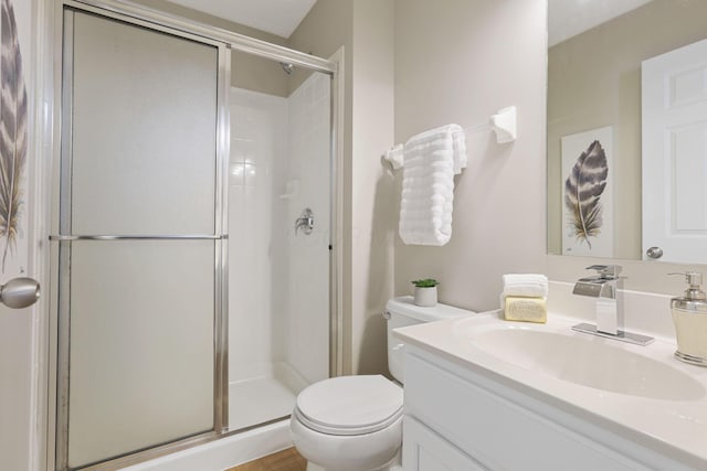 full bathroom with a shower stall, vanity, and toilet