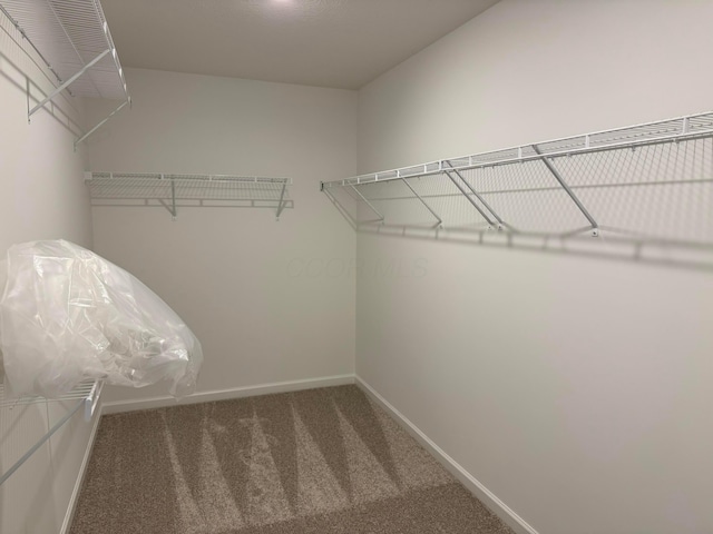 3441 Tender Ave Lot 7157, Powell, OH 43065 - spacious closet featuring carpet floors