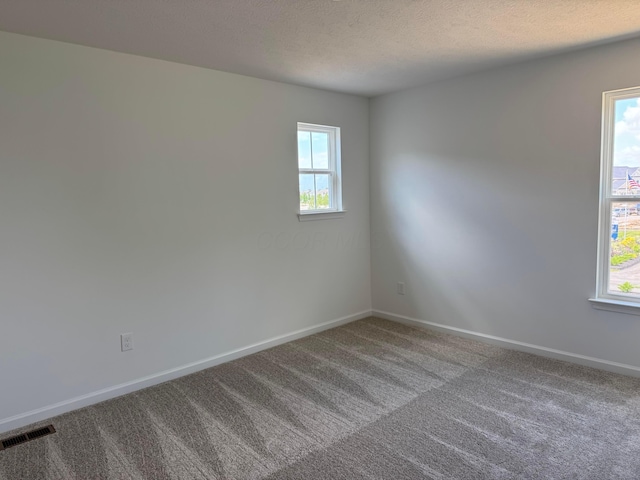 3441 Tender Ave Lot 7157, Powell, OH 43065 - unfurnished room with carpet flooring, plenty of natural light, and a textured ceiling