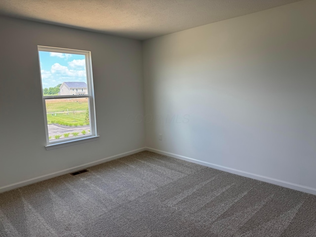 3441 Tender Ave Lot 7157, Powell, OH 43065 - carpeted empty room featuring healthy amount of natural light and a textured ceiling