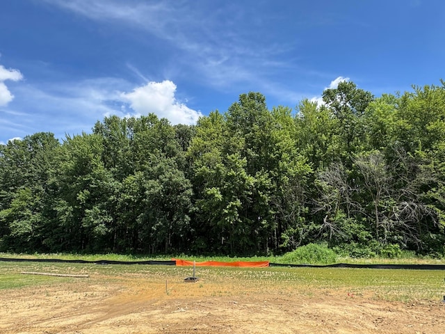 3441 Tender Ave Lot 7157, Powell, OH 43065 - view of yard