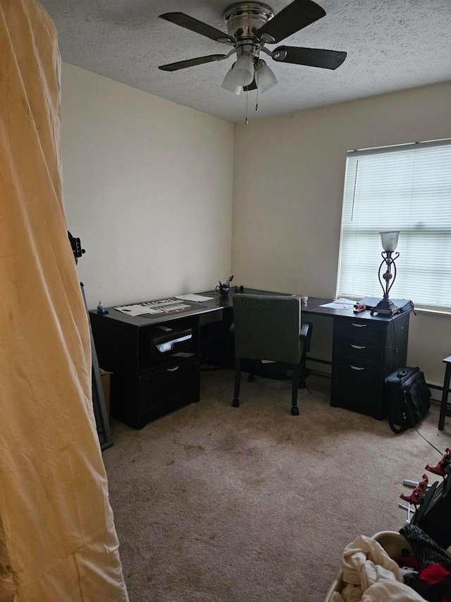 office space featuring ceiling fan, a textured ceiling, and carpet floors