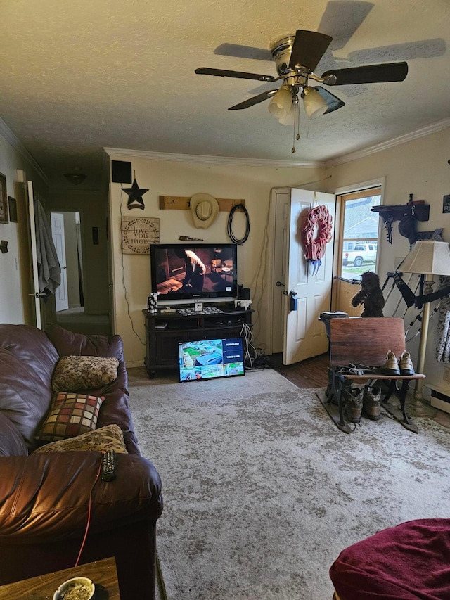 carpeted living area featuring crown molding, a ceiling fan, and a textured ceiling