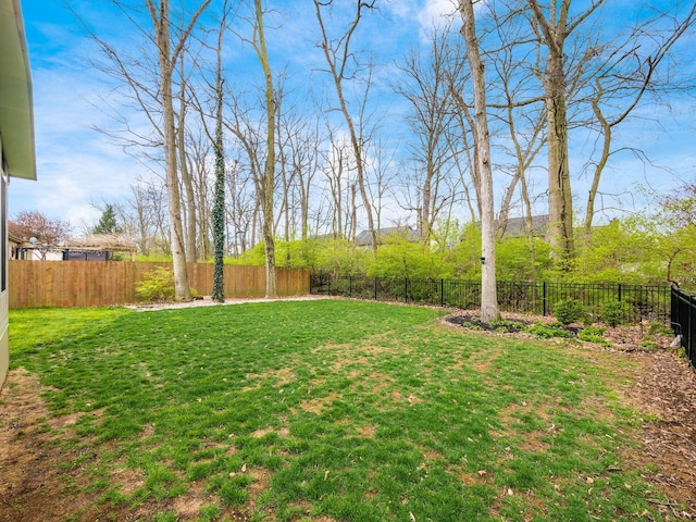 view of yard featuring a fenced backyard