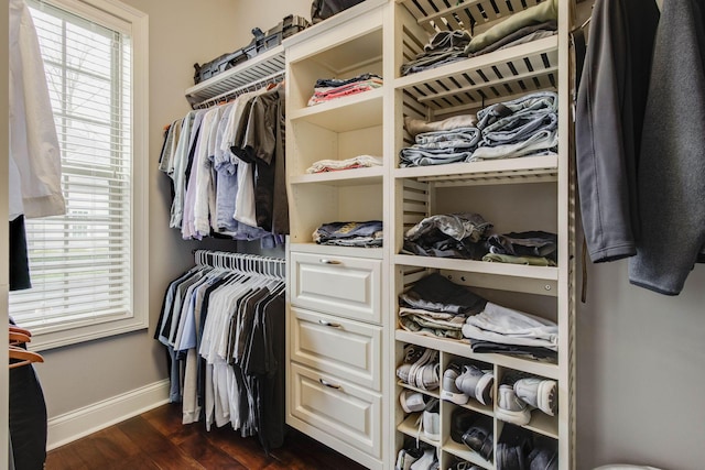 spacious closet featuring dark wood finished floors