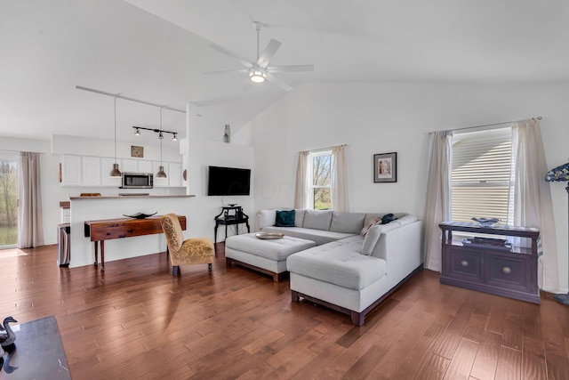 living area featuring a healthy amount of sunlight, track lighting, a ceiling fan, and wood finished floors
