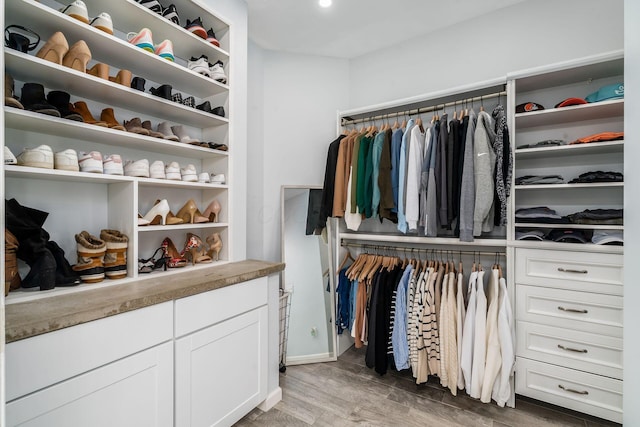 spacious closet with light wood finished floors