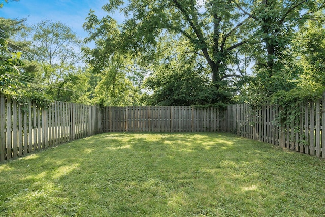 1069 Miller Ave, Columbus, OH 43206 - view of yard