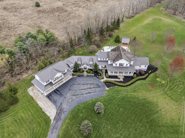 drone / aerial view