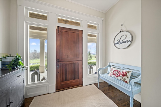 foyer with plenty of natural light, dark wood-type flooring, and ornamental molding