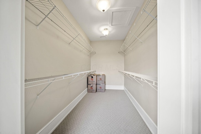 walk in closet with attic access and carpet