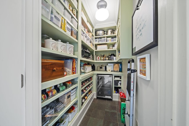 pantry with wine cooler