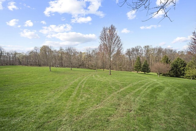 view of yard with a wooded view