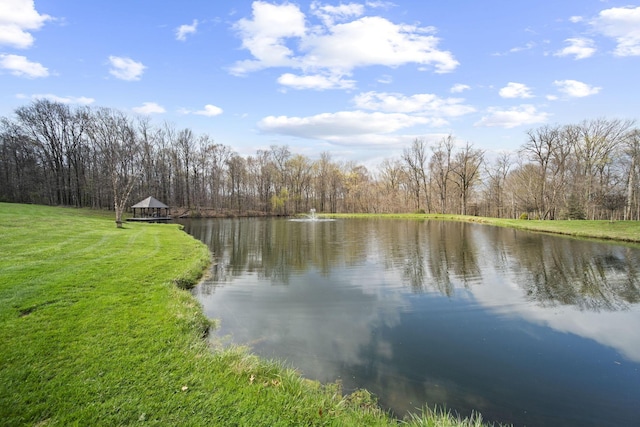 view of water feature featuring a wooded view