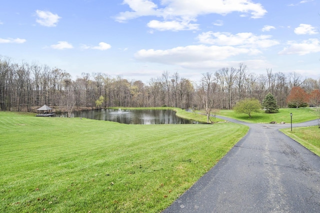 exterior space featuring a view of trees and a water view
