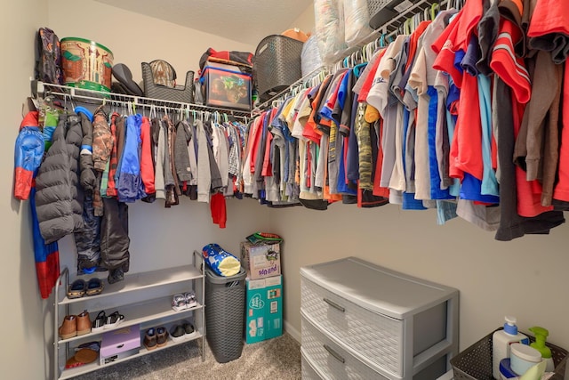 2655 Cross Creek Ave, Lancaster, OH 43130 - spacious closet with carpet floors