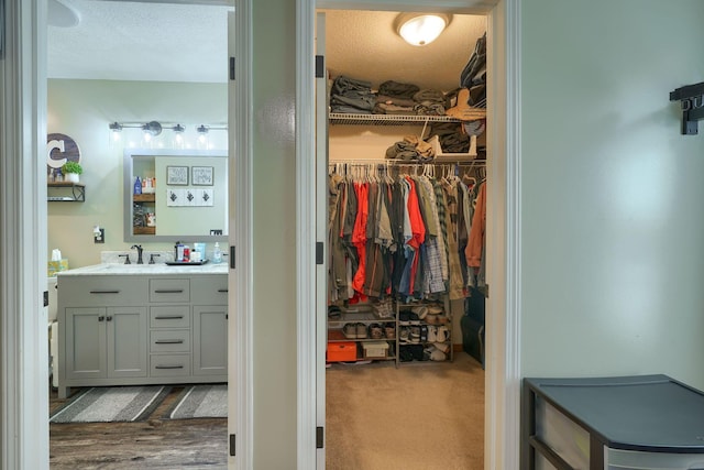 2655 Cross Creek Ave, Lancaster, OH 43130 - spacious closet featuring indoor wet bar and a sink