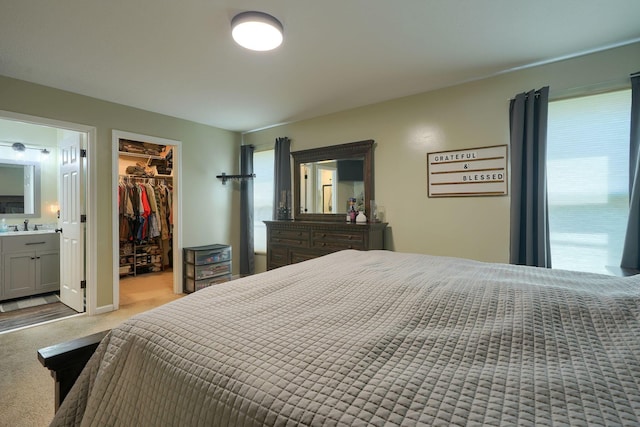 2655 Cross Creek Ave, Lancaster, OH 43130 - bedroom with a sink, a walk in closet, multiple windows, and light carpet