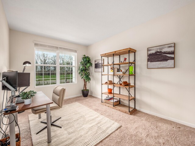 5709 Zinnia Rd, Westerville, OH 43081 - photo 15