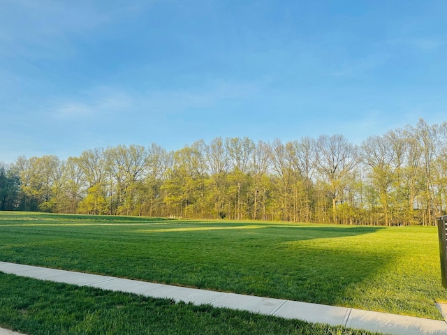5709 Zinnia Rd, Westerville, OH 43081 - photo 36