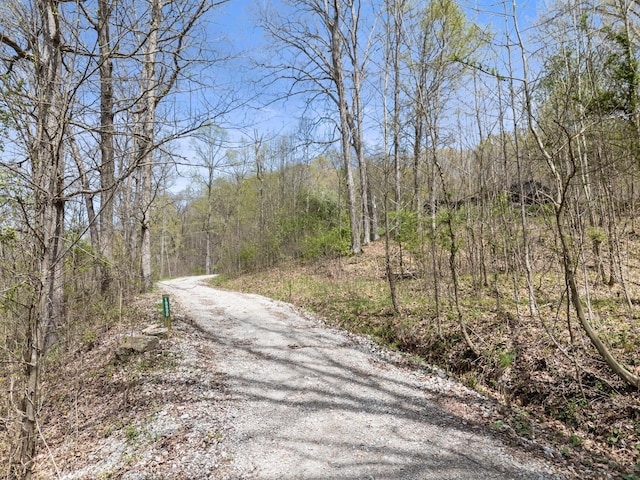 19990 Sowers Rd, Laurelville, OH 43135 - view of road with a wooded view