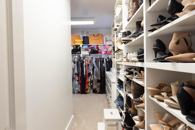 2 Albery Loop, New Albany, OH 43054 - spacious closet with carpet flooring