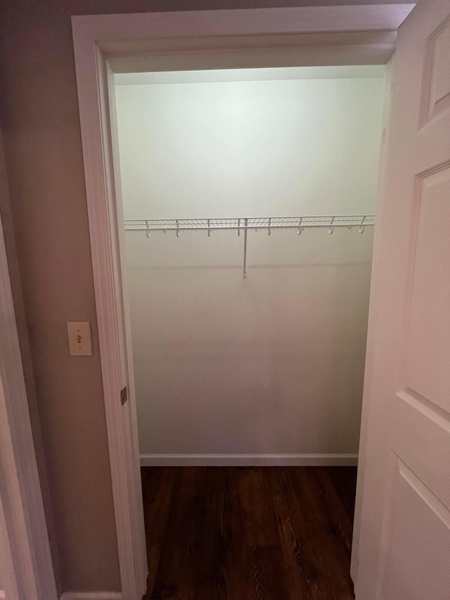 spacious closet with dark wood-style flooring