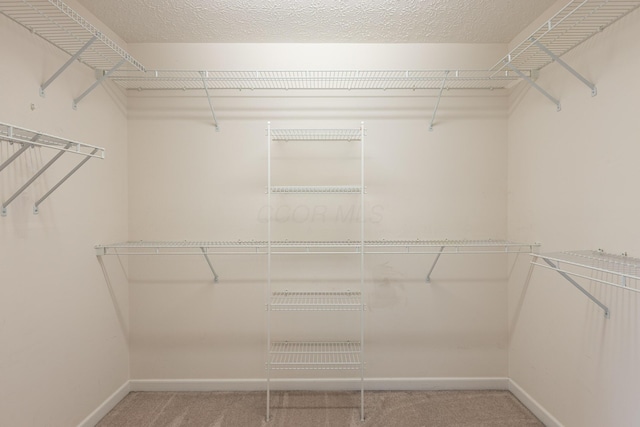 spacious closet featuring light colored carpet