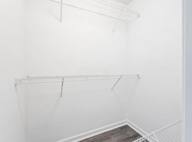 walk in closet featuring dark wood finished floors